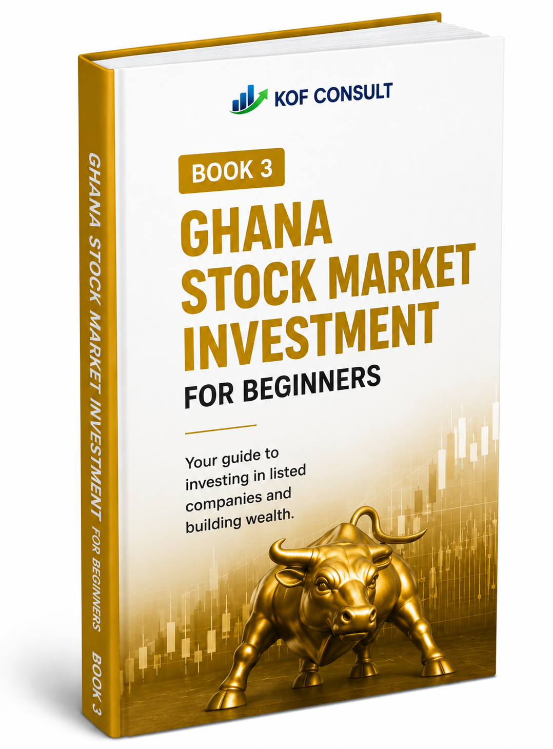Stock Market Investment for Beginners 2026 in Ghana ebook